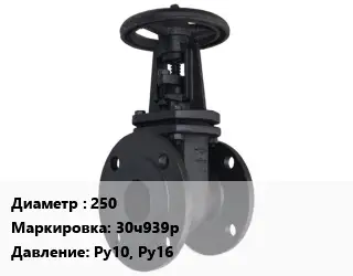 Задвижка чугунная 250 30ч939р Ру10, Ру16